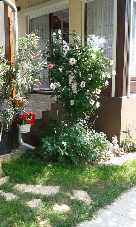 Holiday Apartmanház Zalakaros Exterior foto